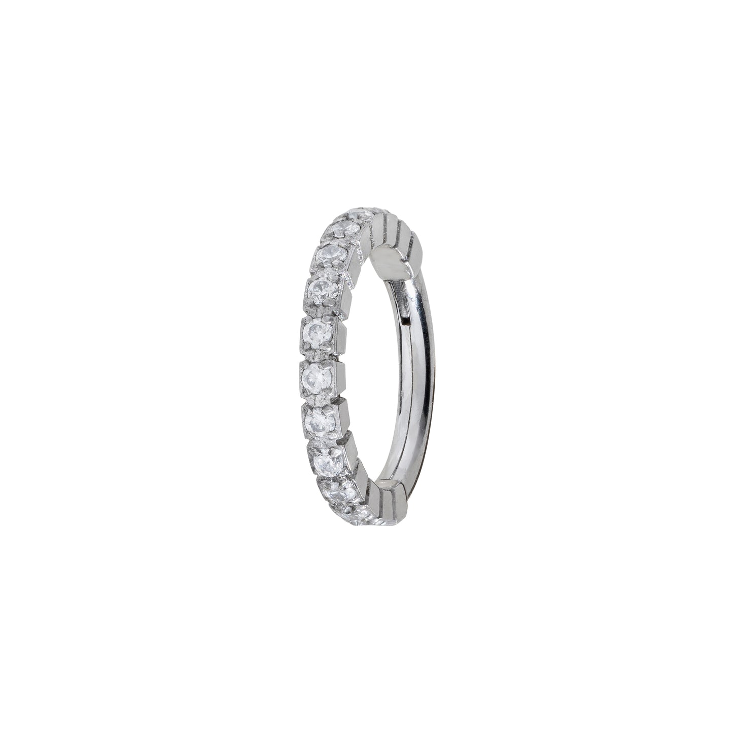 Titanium Hinged Segment Ring With Side CZ Pavé